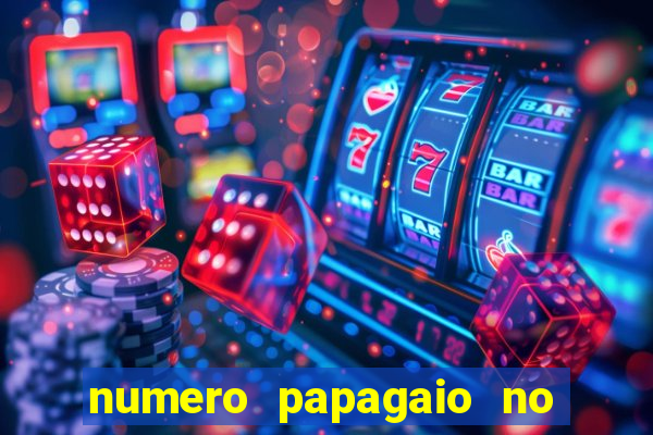 numero papagaio no jogo do bicho